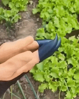 Loopstep | Garten Pflanzenhandschuhe