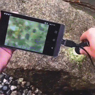 Loopstep | UltraMax Digital Microscope Magnifier
