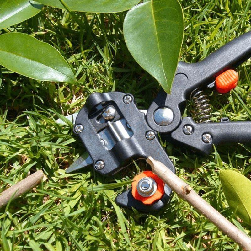 Loopstep | Professionelles Gartenveredlungswerkzeug-Set