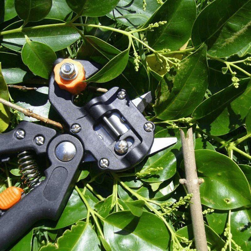 Loopstep | Professionelles Gartenveredlungswerkzeug-Set