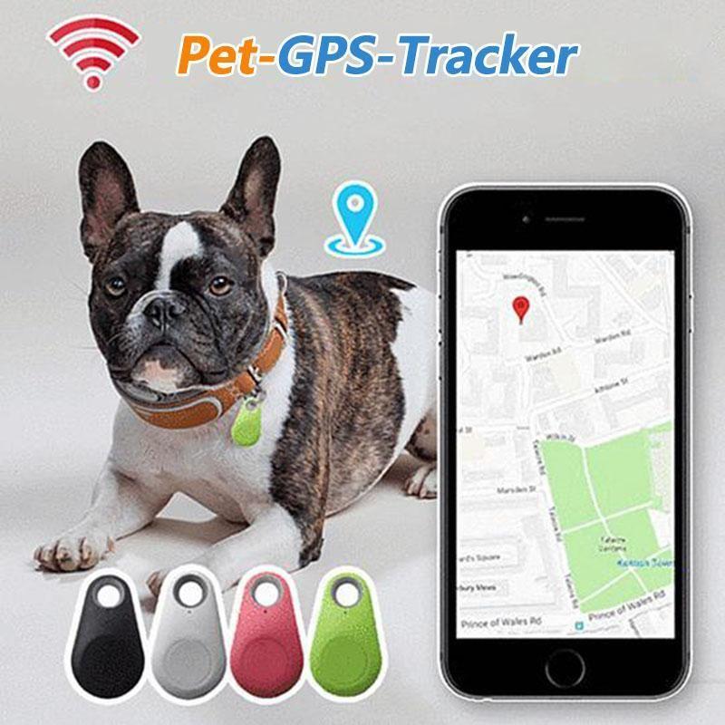 Loopstep | Smart GPS-Tracker für Haustiere