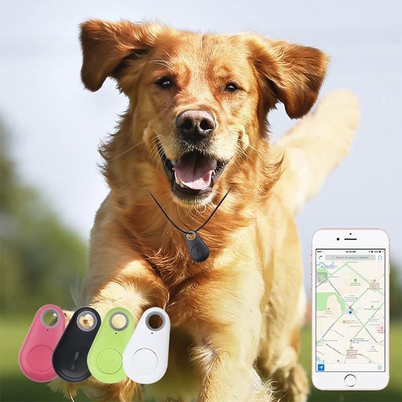 Loopstep | Smart GPS-Tracker für Haustiere
