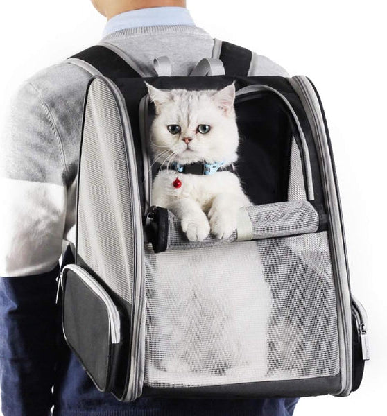Loopstep | Rucksackträger Katze