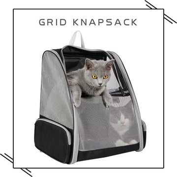 Loopstep | Rucksackträger Katze