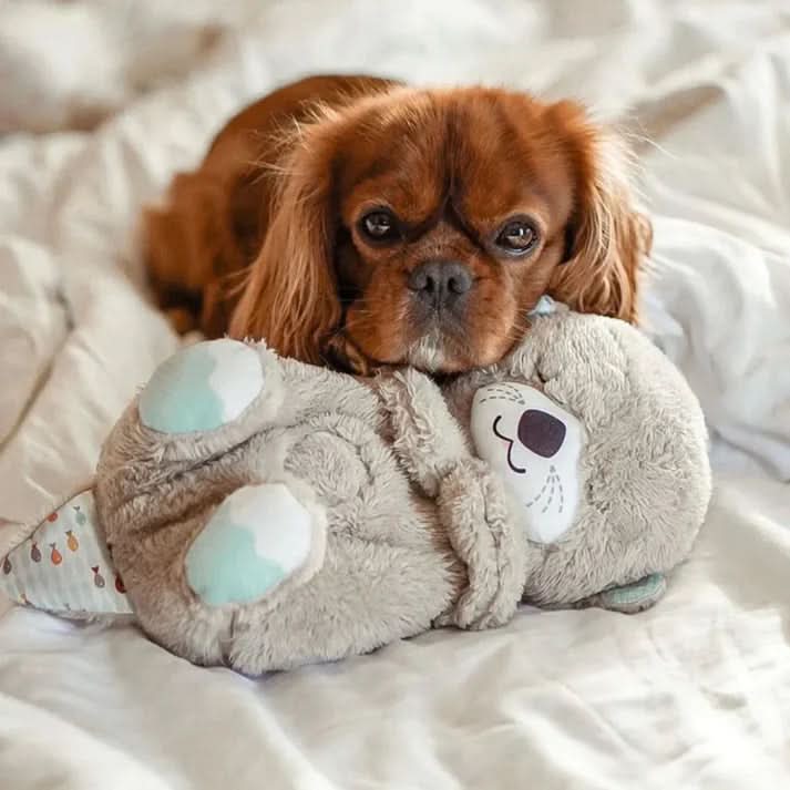 Loopstep | Beruhigendes Kuscheltier für Welpen & Kätzchen