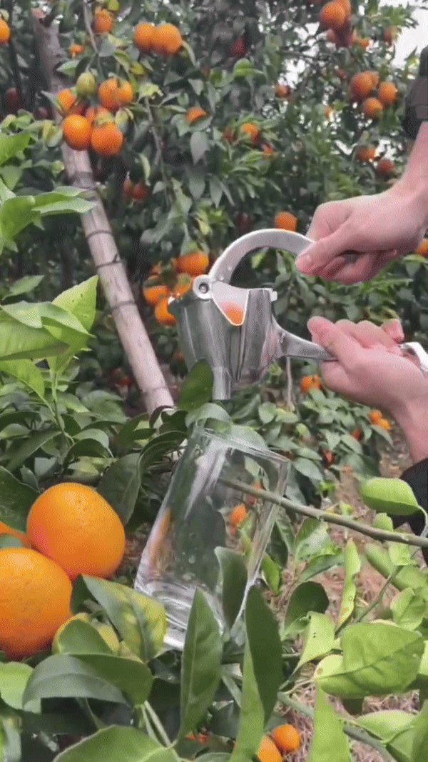 Loopstep | Fruchtsaft Presse