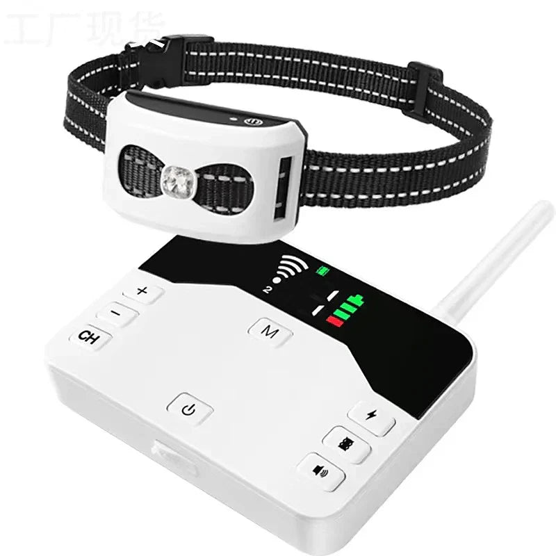 Loopstep | 2-in-1 Kabellose Hundezwinger und Outdoor Trainingshalsband