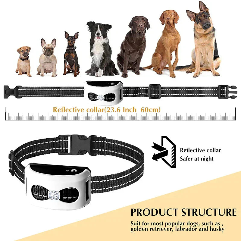 Loopstep | 2-in-1 Kabellose Hundezwinger und Outdoor Trainingshalsband