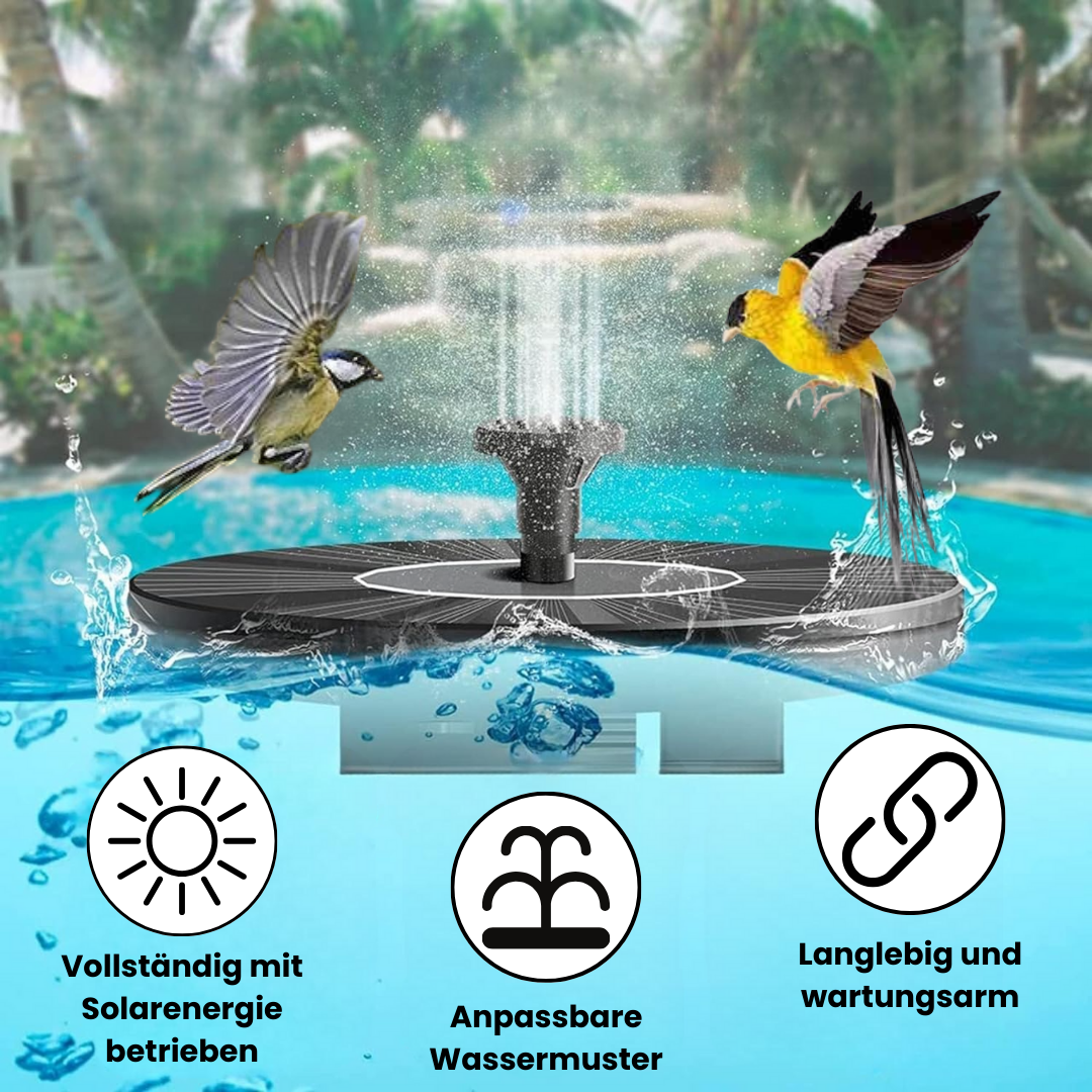 Hochwertige Handgemachte Fontäne für Vögel