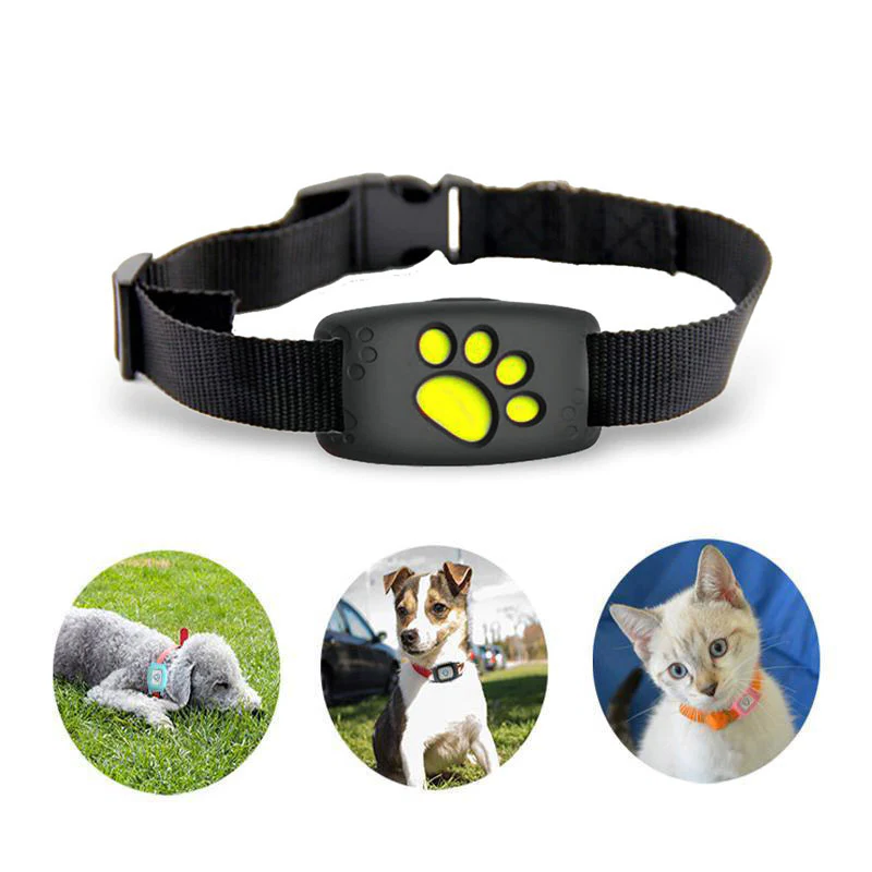Loopstep | Smart GPS Katzenhalsband mit Echtzeit-Tracking